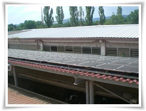 Impianto fotovoltaico da 19,98 KW realizzatosu copertura in Azienda agricola (Fogliano RE)